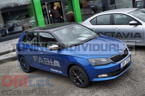 fabia-3-kryty-zrcatek-nerez-5.jpg (505336)